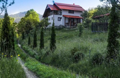 Viseu de Sus Casa | Casa Roman