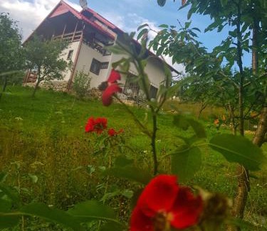 Viseu de Sus Casa | Casa Roman