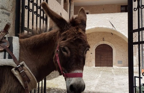 Tione degli Abruzzi Apartamento | Casa Rondinella: Cozy apartment in an 18th century palazzo