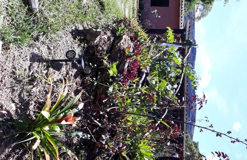 Vale do Capao Casa | Casa Rosa en el valle del Capão