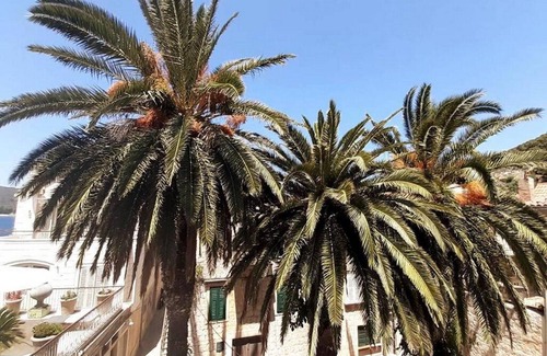 Vis Casa | Casa Ruben