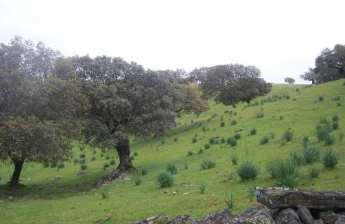 Riolobos Casa | Casa Rural Abuela Maxi