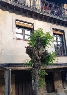 Villanueva del Conde Casa | Casa rural Adelaida