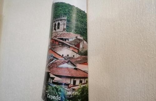 Cepeda Apartamento | Casa Rural Amelia