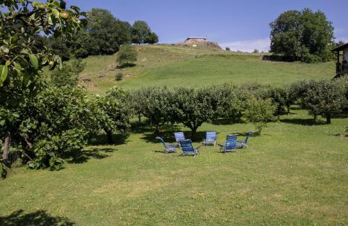 Amaiur Casa | Casa Rural Bordaberea