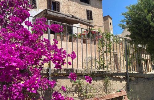 Ardenya Casa | Casa rural con jardín,a 8km playa y en la naturaleza Taronja&canyella