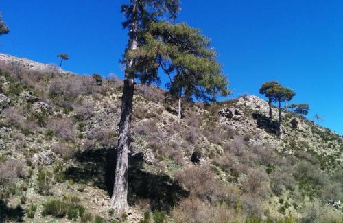 Segura de la Sierra Casa | CASA RURAL CURTIDORES