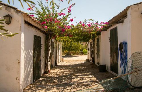 Prado del Rey Casa | Casa rural el Carmen