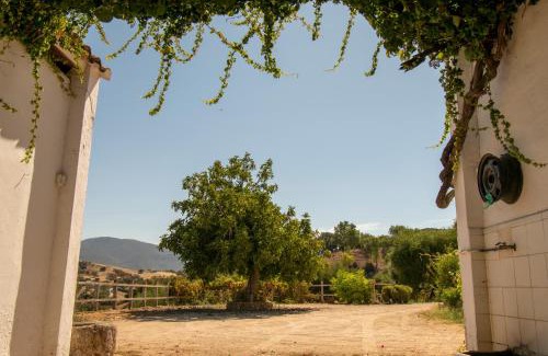 Prado del Rey Casa | Casa rural el Carmen