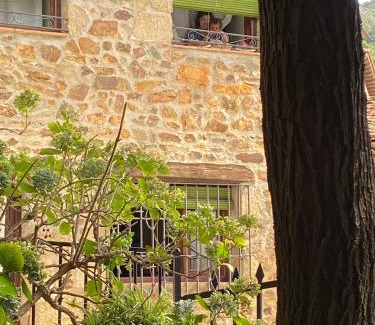 Gata Casa | Casa Rural El Fortin