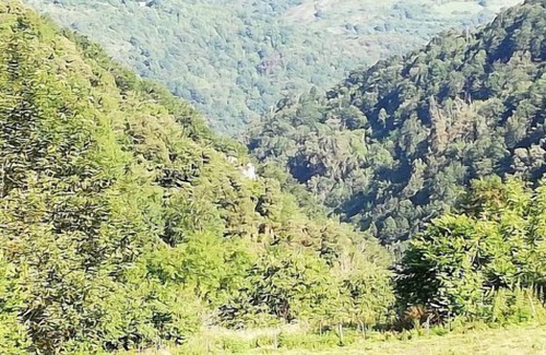 Vigana Cabaña | Casa Rural La Llerona para 5 personas