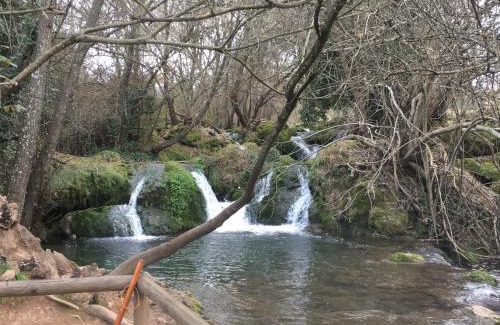 San Nicolás del Puerto Casa | Casa Rural Nacimiento del Hueznar - Tomillo 17