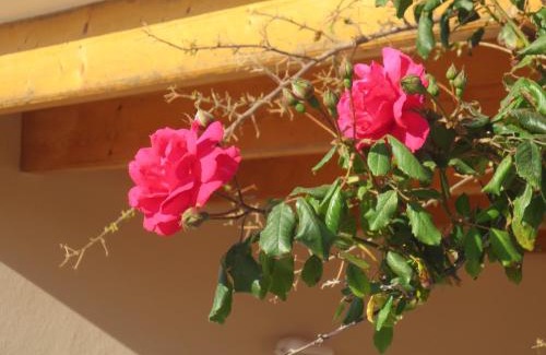 Sant Francesc Xavier Casa | Casa Rural Ideal para Parejas - Formentera