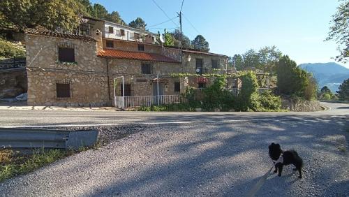 La Casa de la Noguera Casa | Casa Rural La Caseta