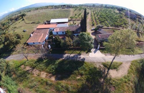 Tejeda de Tietar Casa | Casa Rural La Vallejera