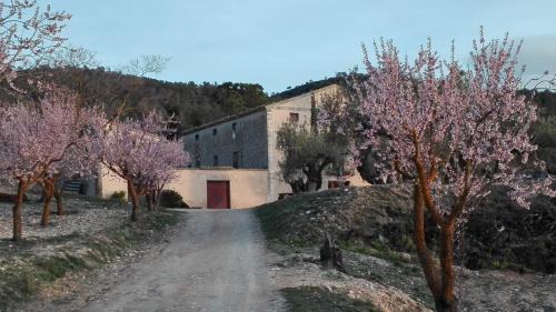Ibi Casa | Casa Rural Masía Barbera