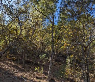 Alcudia de Veo Chalet De Esquí | Casa rural Puchero y Manta