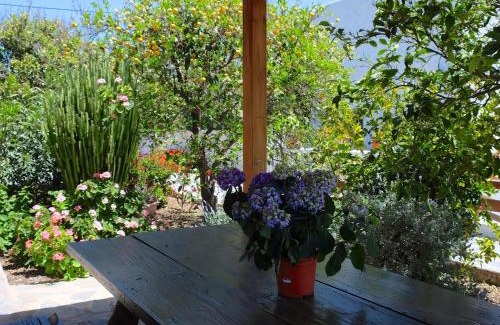 Las Vegas Casa | Casa rural sofia