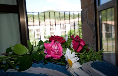 Puertolas Apartamento | Casa Rural Sofia Ordesa