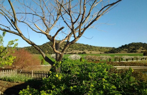 Morella Casa | Casa Rural Torre Gargallo