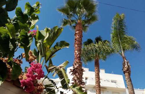 Olhao Casa | Casa Rustica - Courtyard House