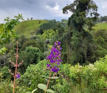 Filandia Casa | Casa Rustica La Bella Filandia