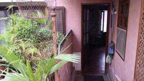 Telde Apartamento | Casa rustica San Francisco 3