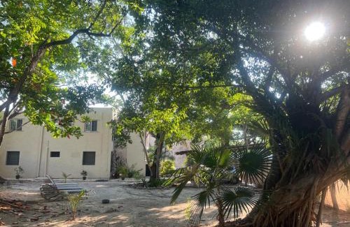 Jimenez Apartamento | Casa SaasNá, Departamento B, C y D