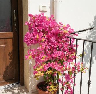 Centro Storico Casa | Casa San Cosimo