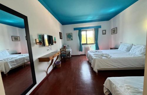Sao Bras de Alportel Casa | Casa Santo António