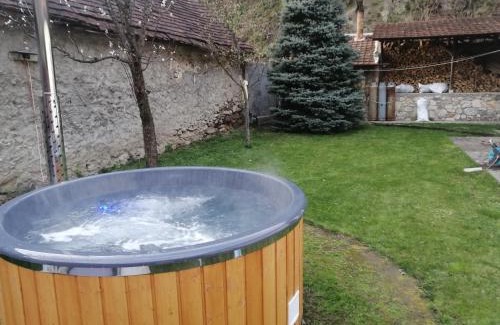 Sasca Montana Casa | Casa Sasca Montana