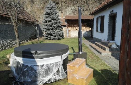 Sasca Montana Casa | Casa Sasca Montana