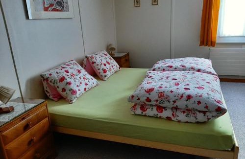 Disentis Apartamento | Casa Schuoler
