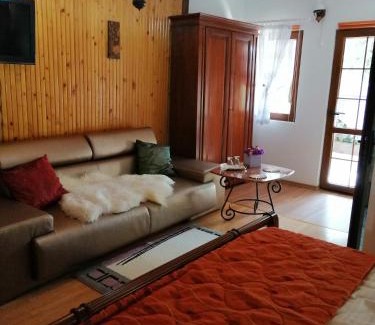 Durau Casa | Casa Serban