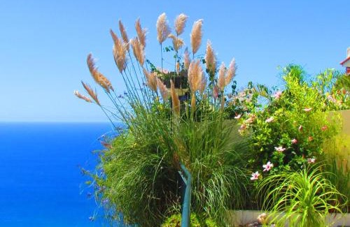 Arco da Calheta Apartamento | Casa Serena Apartments