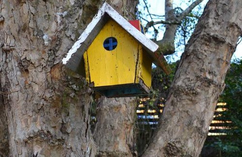 Jardim Andira Casa | Casa Sirin