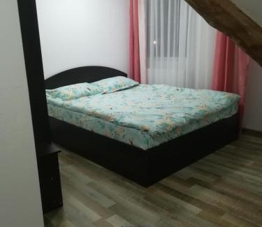 Dorna Candrenilor Casa | Casa Sofia Dorna Candrenilor