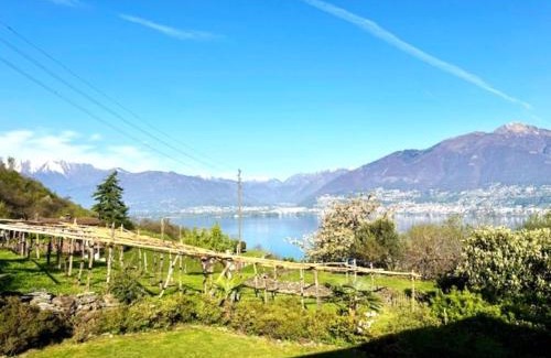 Magadino Casa | Casa Sole