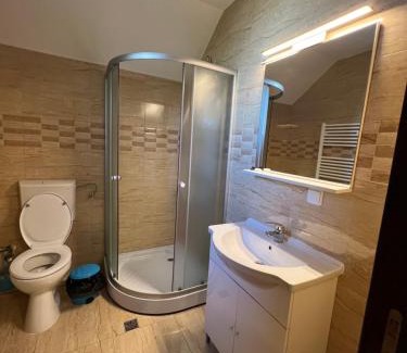 Cluj-Napoca Casa | Casa Soporan