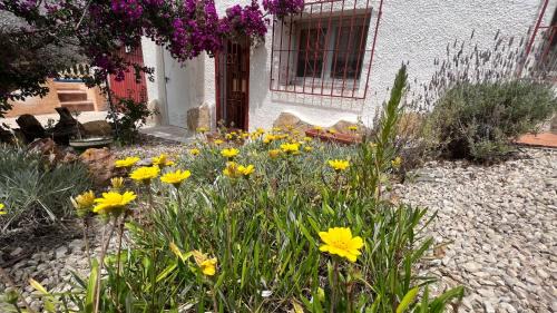La Sabatera Chalet De Esquí | Casa Tanja
