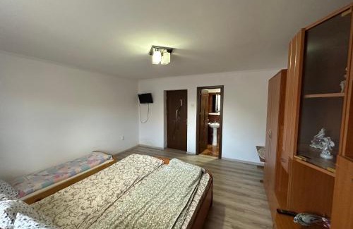 Cartisoara Casa | Casa Tradițională Cârtisoara