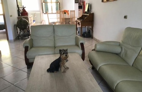 Monsummano Terme Apartamento | Casa Tre Fontane