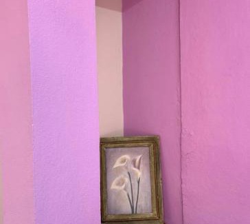 Oaxaca Casa | Casa tulipán