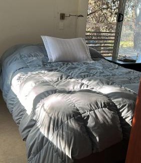 Rio Negro Apartamento | Casa un dormitorio Los Arrayanes