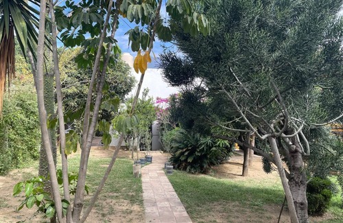 Oaxaca Villa | Casa Unión, espaciosa villa con jardín y espectaculares vistas a la montaña