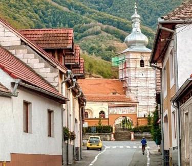 Sadu Casa | Casa Ursului - Rustic house in traditional village
