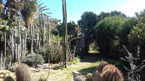 Castelvetrano Casa | Casa vacanza nella riserva naturale del Belice