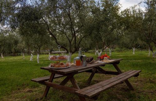 Santa Maria di Licodia Casa | Casa vacanze Etna