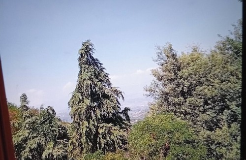 Corigliano Calabro Casa | Casa vacanza la sorgente