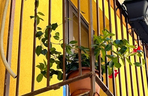 Motta Camastra Apartamento | CASA VACANZE "ANTICO BORGO A DUE PASSI DALLE GOLE ALCANTARA" APPARTAMENTO ULIVO